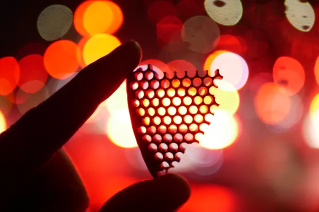 Close up of a hand holding a piece of a membrane. Photo.